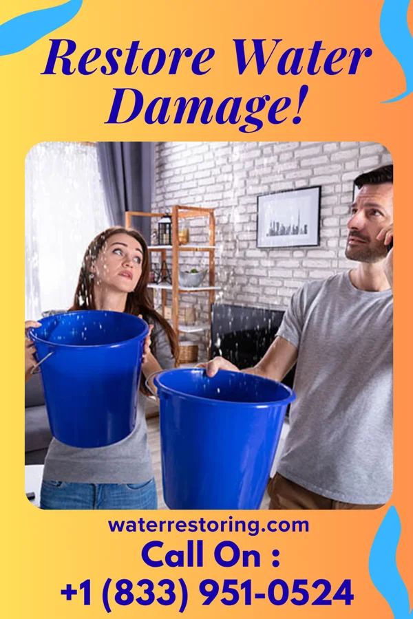 water restoration Horizon Flood Mitigation Co Duncannon