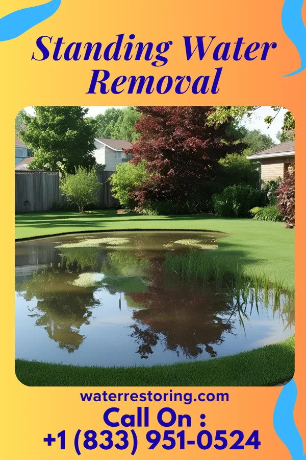 Standing Water Removal in Duncannon, PA